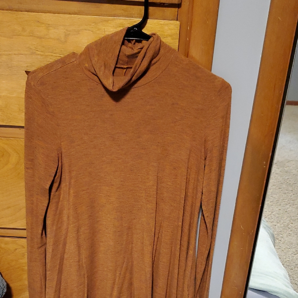 American Eagle Outfitters Brown Long Sleeve Tee
